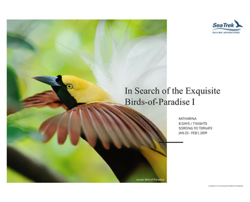 SeaTreak Birds of Paradise Brochure