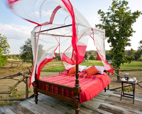 Jamtara Wilderness Camp Starbed
