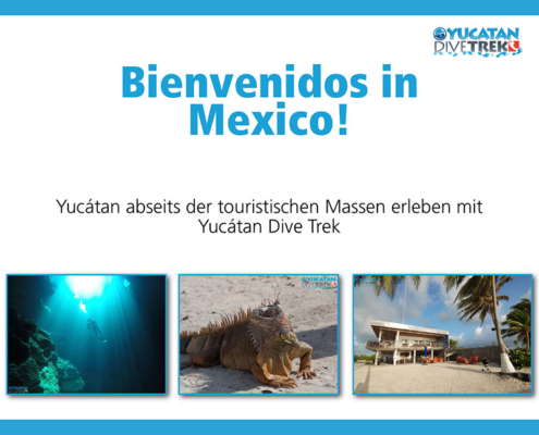 Sales Training Presentation Yucatan Dive Trek