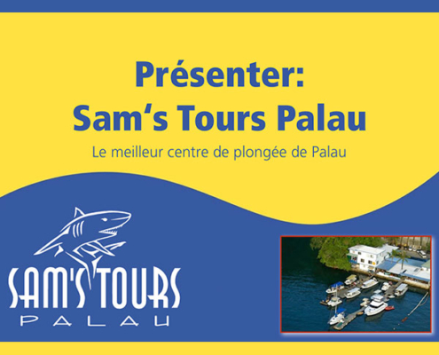 Presentation of Sam's Tours in France